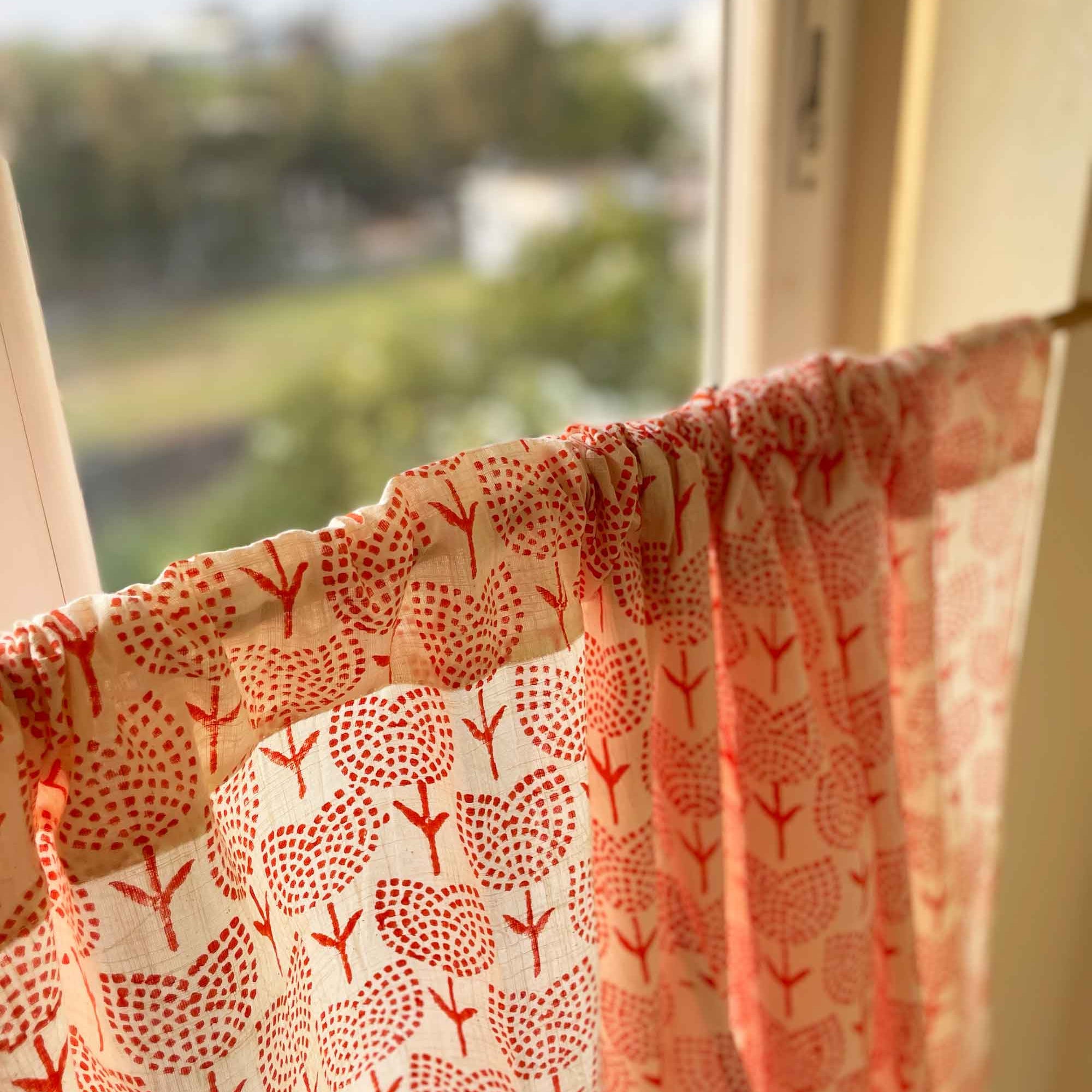 orange tulips beautiful cafe curtains